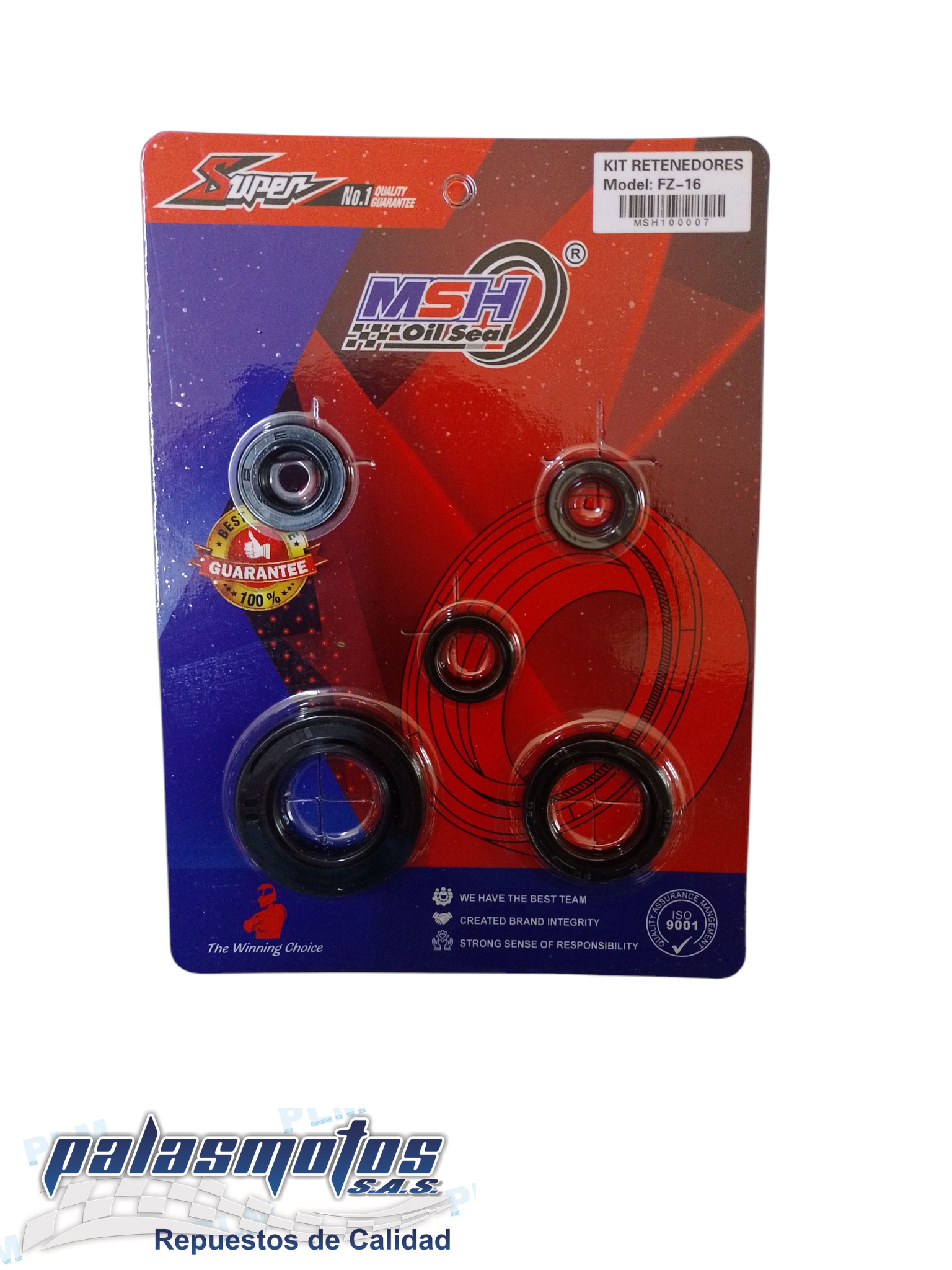 KIT RENETES MOTOR FZ16