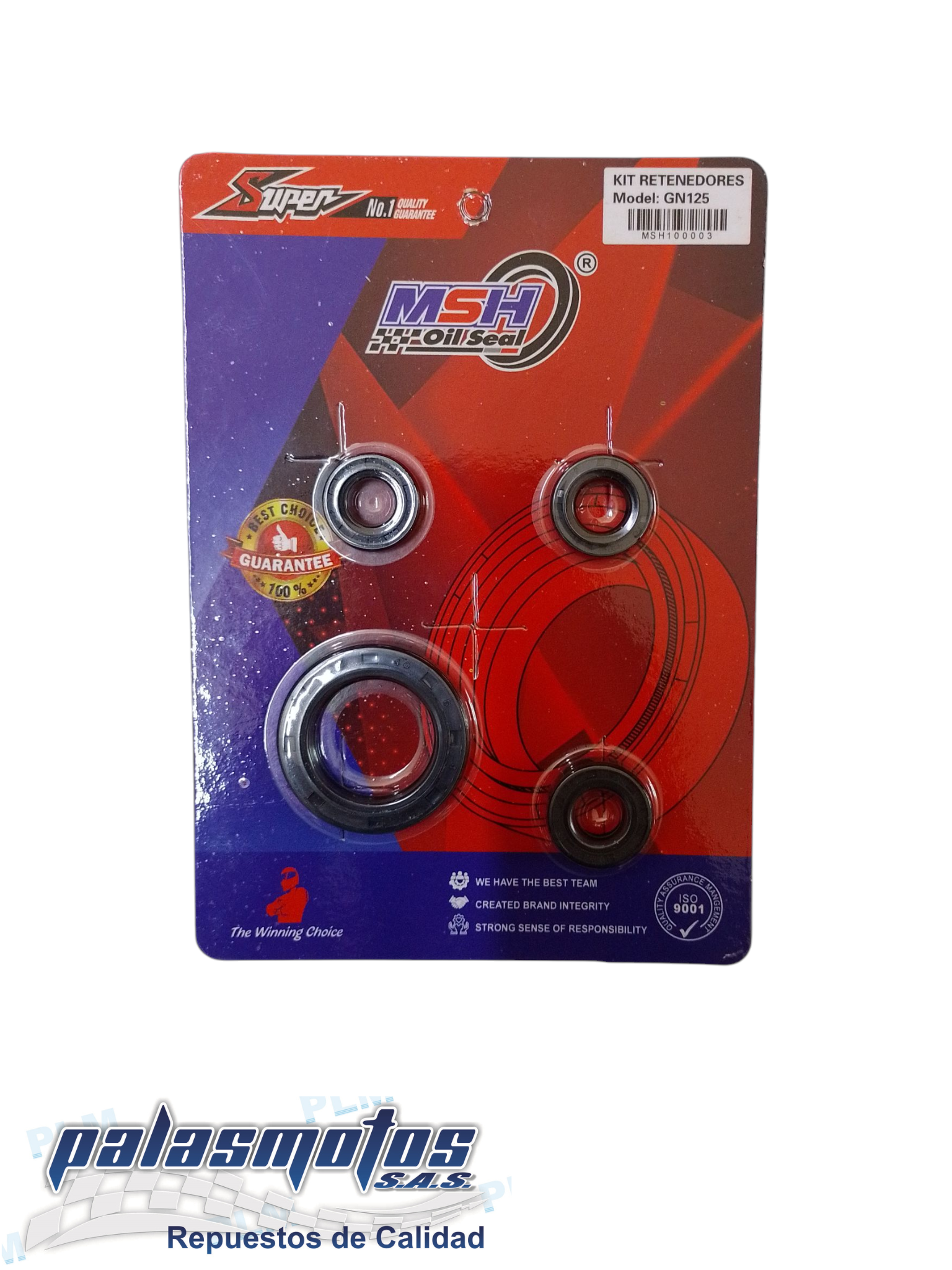 KIT RENETES MOTOR GN125