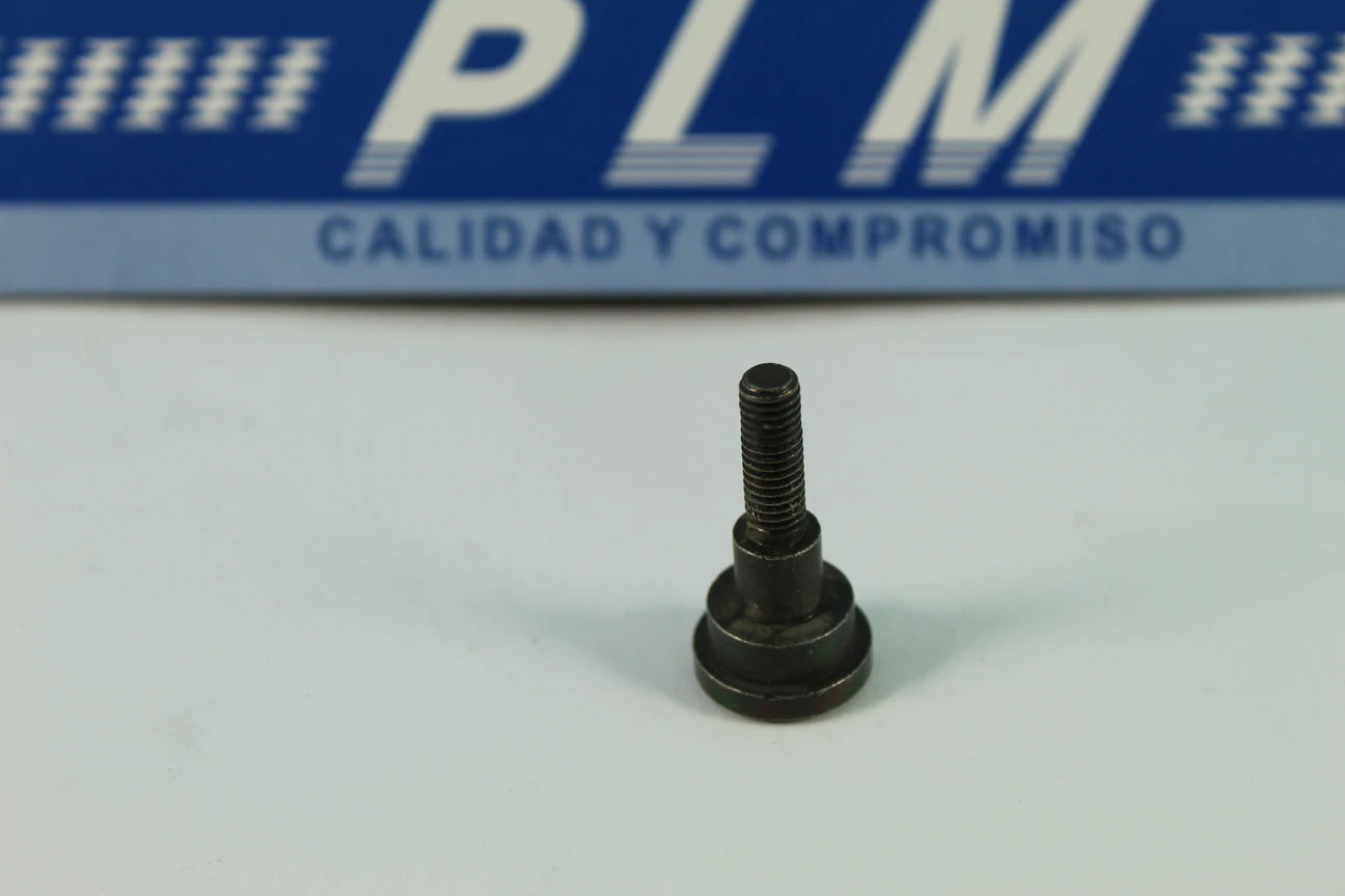 TORNILLO DE MANIGUETA DE ECO-XL'S - PALASMOTOS S.A.S
