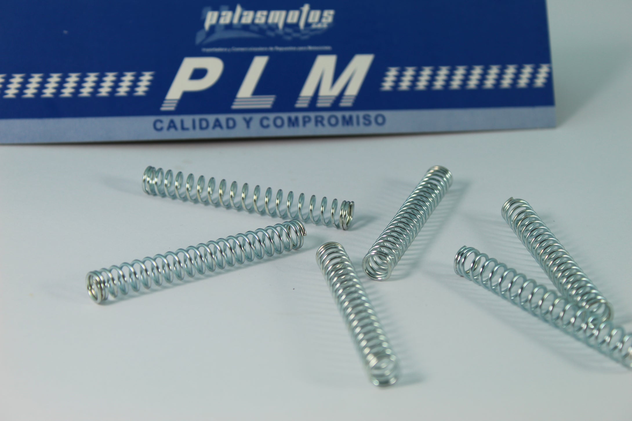 RESORTE FRENO DELANTERO - PALASMOTOS S.A.S