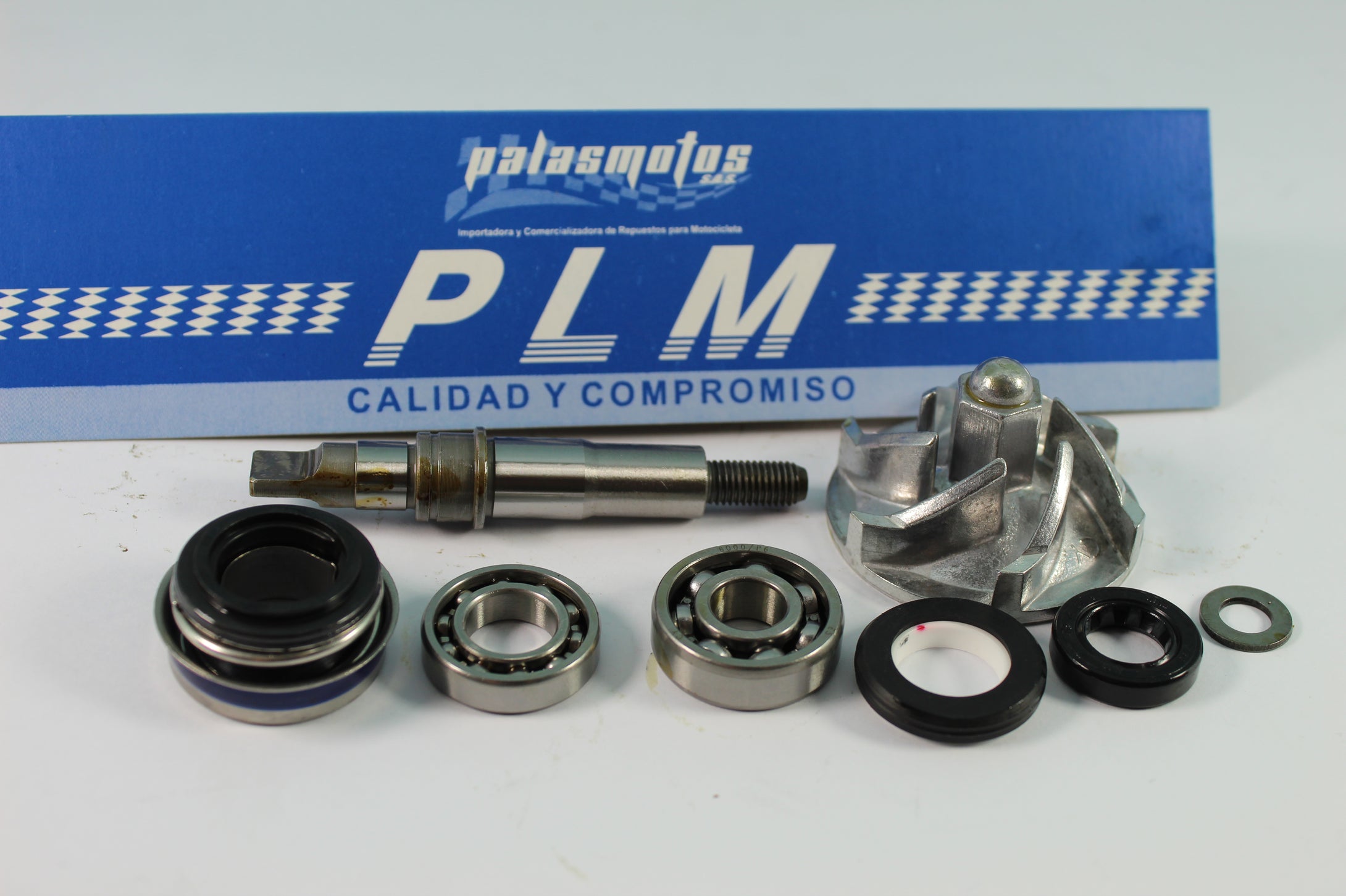 BOMBA AGUA CG 200/250 CON ACCESORIOS - PALASMOTOS S.A.S