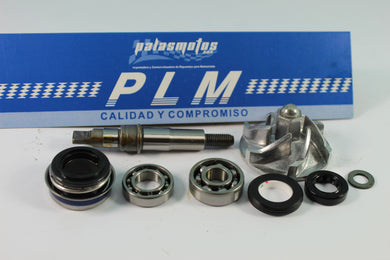 BOMBA AGUA CG 200/250 CON ACCESORIOS - PALASMOTOS S.A.S