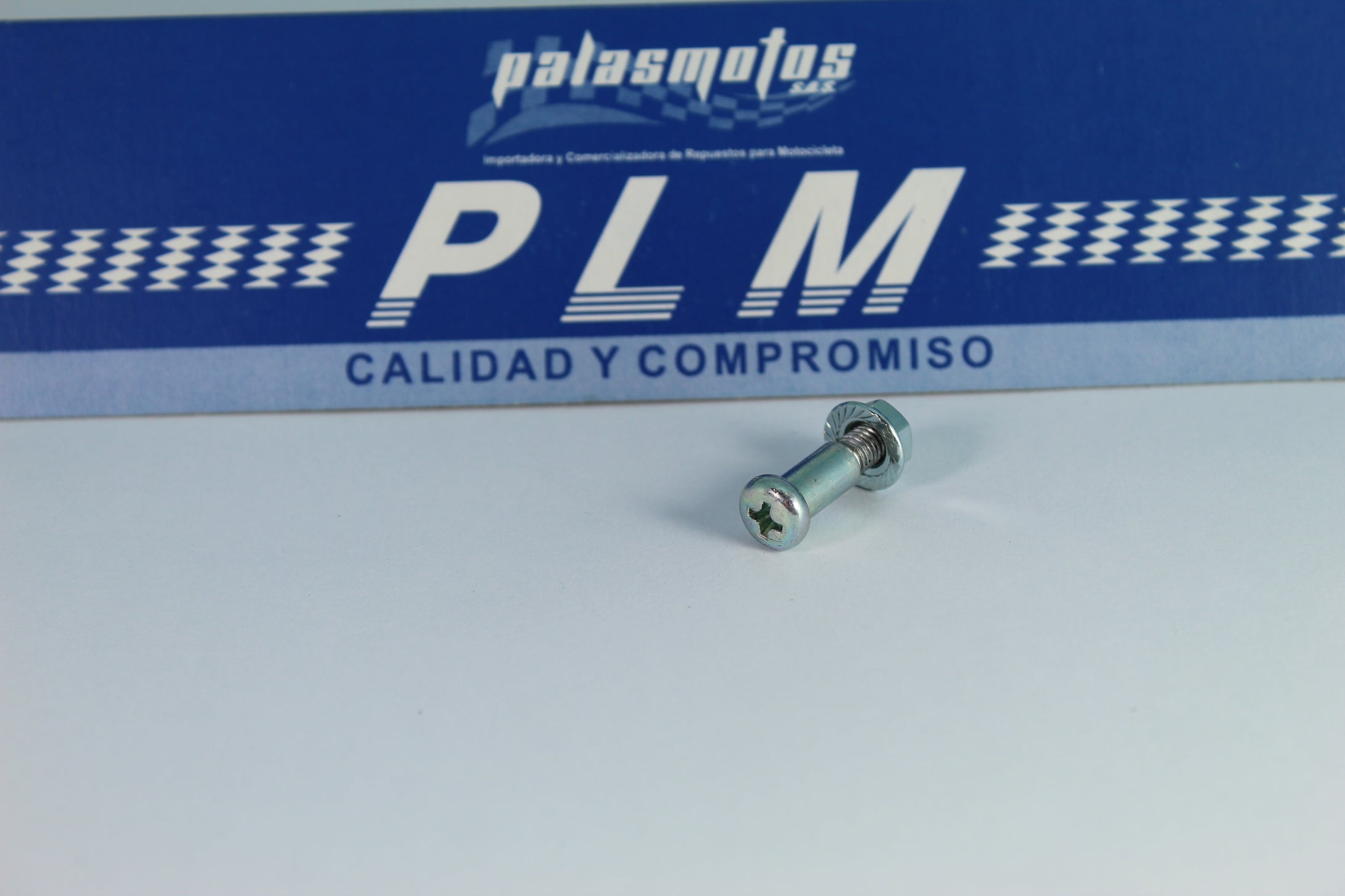 TORNILLO DE MANIGUETA DE AKT 125 - TT - PALASMOTOS S.A.S