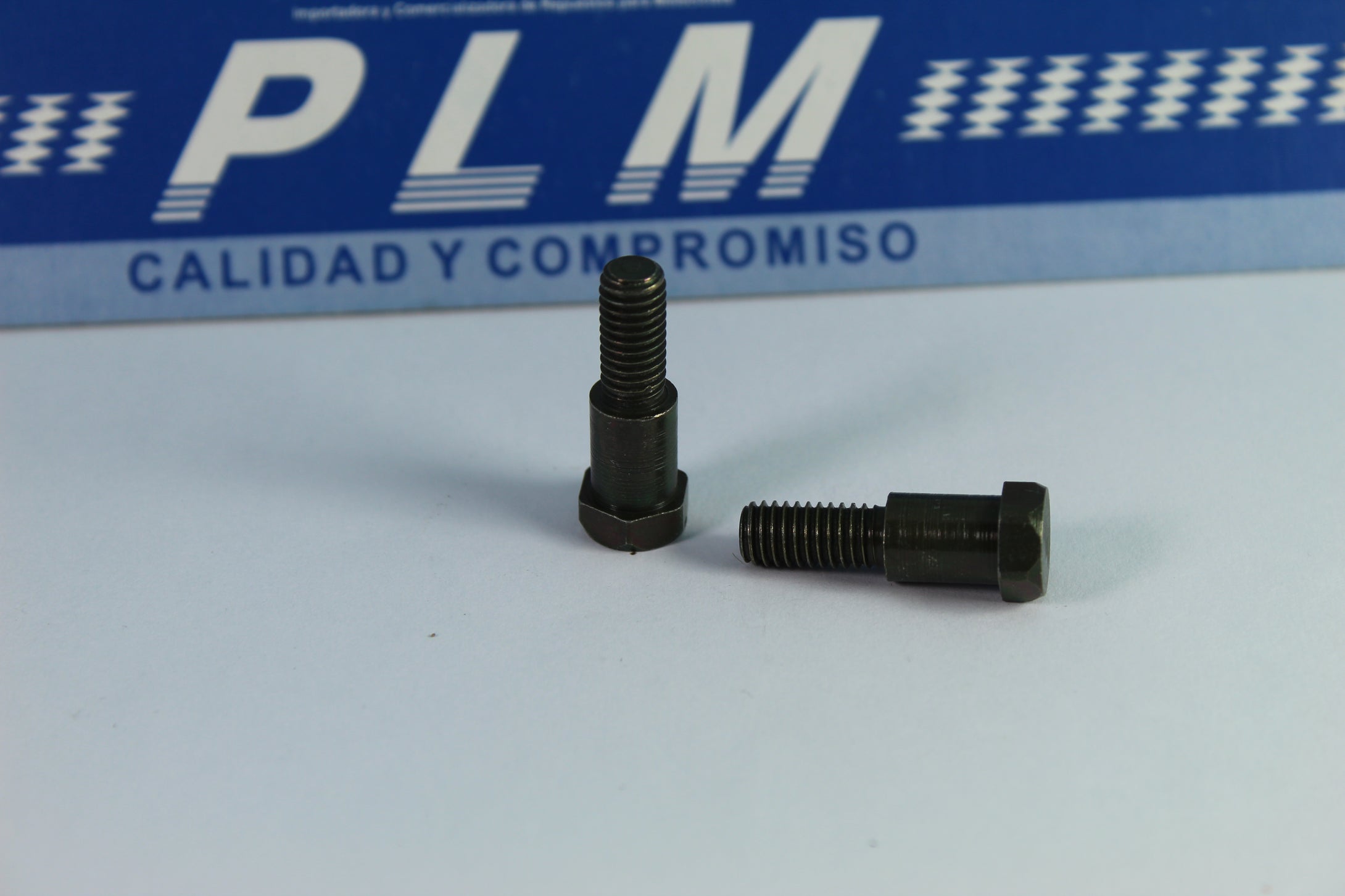 TORNILLO DE MANIGUETA DT'S-TS-RX - PALASMOTOS S.A.S