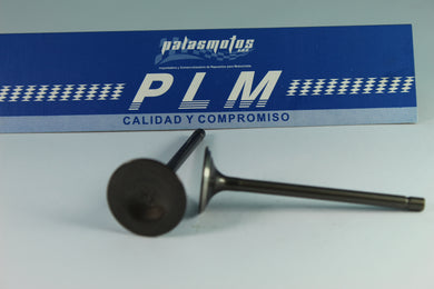 KIT VALVULAS CARGUERO 200 ADM Y ESC - PALASMOTOS S.A.S